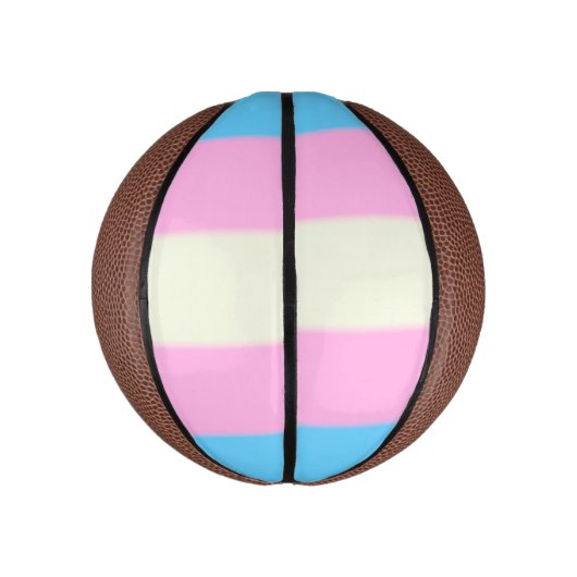 Falsche Transgender-Pride-Markierung Mini Basketball (Vertikal)