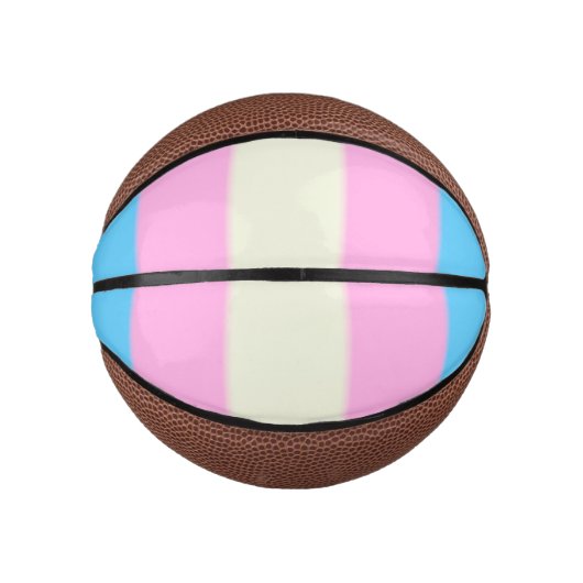 Falsche Transgender-Pride-Markierung Mini Basketball (Vorderseite)