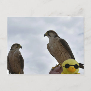 Falsche Uhrzeit Postkarte