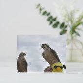 Falsche Uhrzeit Postkarte (Stehend Vorderseite)