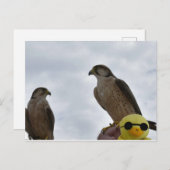 Falsche Uhrzeit Postkarte (Vorne/Hinten)