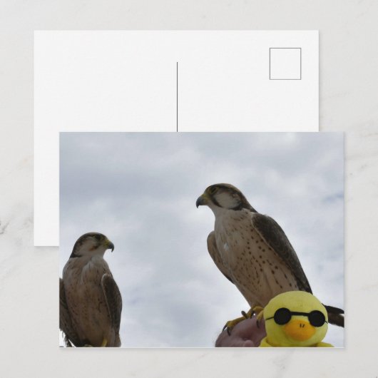 Falsche Uhrzeit Postkarte (Vorne/Hinten)