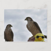 Falsche Uhrzeit Postkarte (Vorderseite)