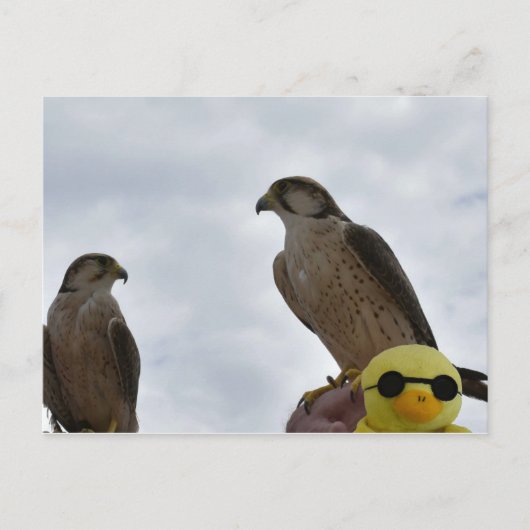 Falsche Uhrzeit Postkarte (Vorderseite)