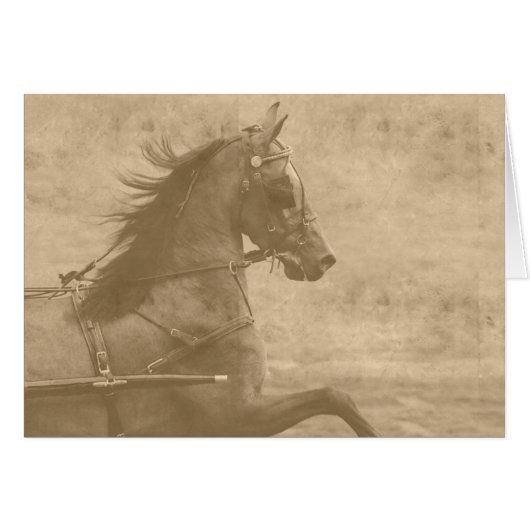 Falsche Vintage Hackney (Vorderseite (Horizontal))