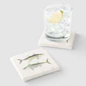 Falscher Albacore-u. Steinuntersetzer (Seitenansicht)