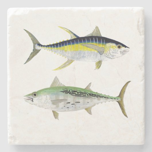Falscher Albacore-u. Steinuntersetzer (Vorderseite)