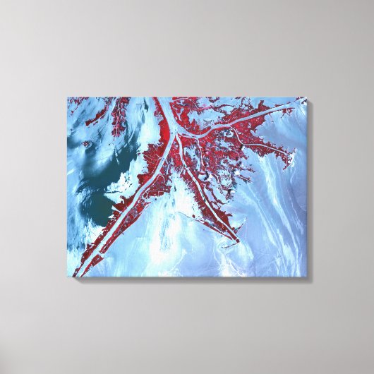 Falscher Farbsatellit Leinwanddruck (Vorderseite)