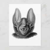 Falscher Vampirs-Schläger Postkarte (Vorderseite)