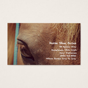 Falsches Vintage-Sorrel-Pferd