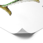 False Albacore Tuna Poster (Ecke)