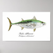 False Albacore Tuna Poster (Vorne)