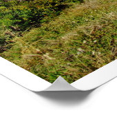 False Bay, Capetown, Südafrika Poster (Ecke)