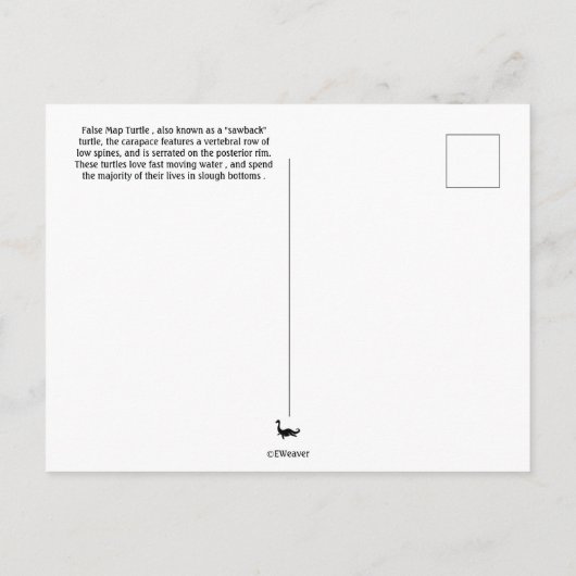 False Map Turtle Ridgeland Sc Postkarte (Rückseite)
