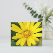 False Sunflower Postcard Postkarte (Stehend Vorderseite)