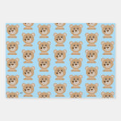 Faltblatt für das niedliche Bärenmuster Babydusche Geschenkpapier Set (Vorderseite 3)