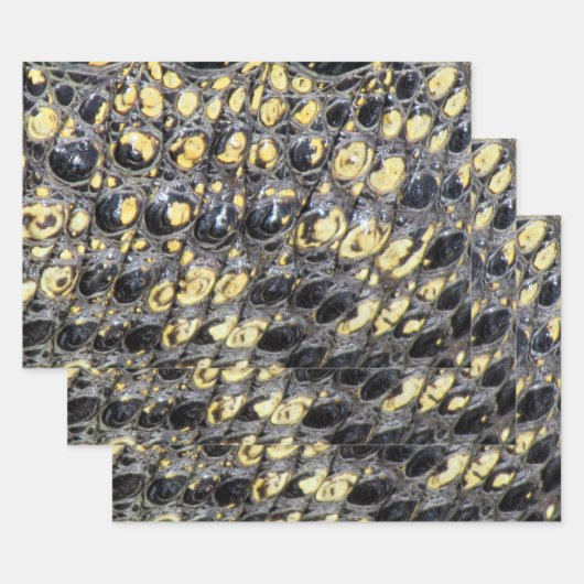 Faltblätter für die "Alligatorhaut" Geschenkpapier Set (Set)