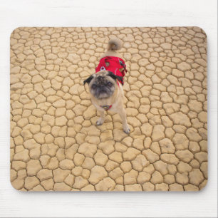 "Falten auf Sprüngen" lustiger Abenteuer-Mops Mousepad