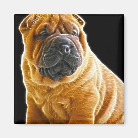 Falten, der Chinesische Shar Pei Welpe Hund Magnet (Vorne)