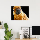Falten, der Chinesische Shar Pei Welpe Hund Poster (Heimbüro)