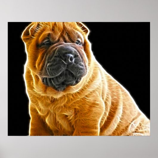 Falten, der Chinesische Shar Pei Welpe Hund Poster (Vorne)