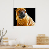 Falten, der Chinesische Shar Pei Welpe Hund Poster (Küche)