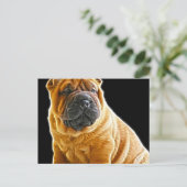 Falten, der Chinesische Shar Pei Welpe Hund Postkarte (Stehend Vorderseite)