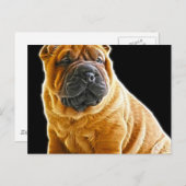 Falten, der Chinesische Shar Pei Welpe Hund Postkarte (Vorne/Hinten)