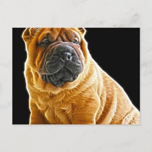 Falten, der Chinesische Shar Pei Welpe Hund Postkarte (Vorderseite)