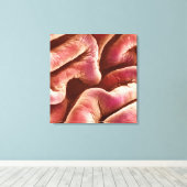 Falten des Epithels der menschlichen Blase Leinwanddruck (Insitu (Holzboden))