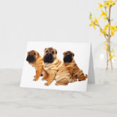 Falten sind schöne Gruß-Karte Karte (Gelbe Blume)