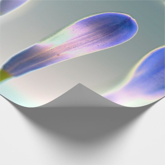 Faltenbalg-Blumendesign Geschenkpapier (Ecke)