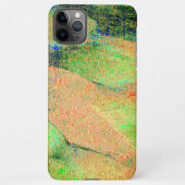 Faltenledereffekt, grün-orangefarbene Farbe iPhone Hülle (Rückseite)