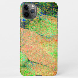 Faltenledereffekt, grün-orangefarbene Farbe iPhone 11Pro Max Hülle