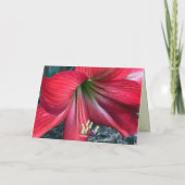 Faltkarte Dankeskarte (Rückseite)