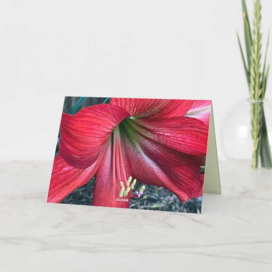 Faltkarte Dankeskarte (Rückseite)