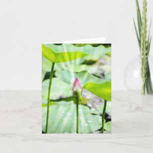 Faltkarte Dankeskarte