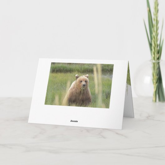 Faltkarte des Grizzlybären Dankeskarte (Rückseite)