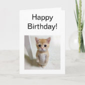 Faltkarte El Gato Cat Meme Karte (Vorderseite)