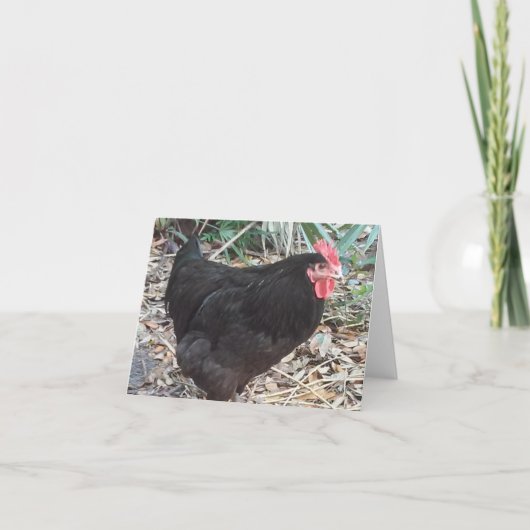 Faltkarte für das Foto "Black Cochin Chicken" (Vorderseite)