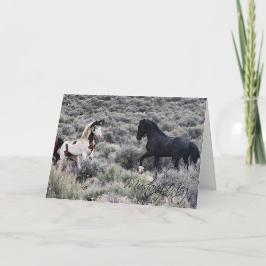 Faltkarte für Shaman und Twister (Vorderseite)