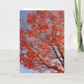 Faltkarte Karte (Rückseite)