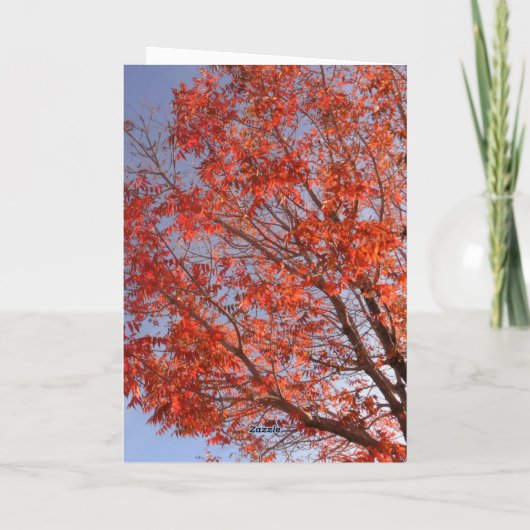 Faltkarte Karte (Rückseite)