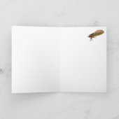 Faltkarte Karte (Innenseite)