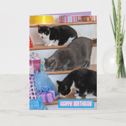 Faltkarte Karte (Vorderseite)