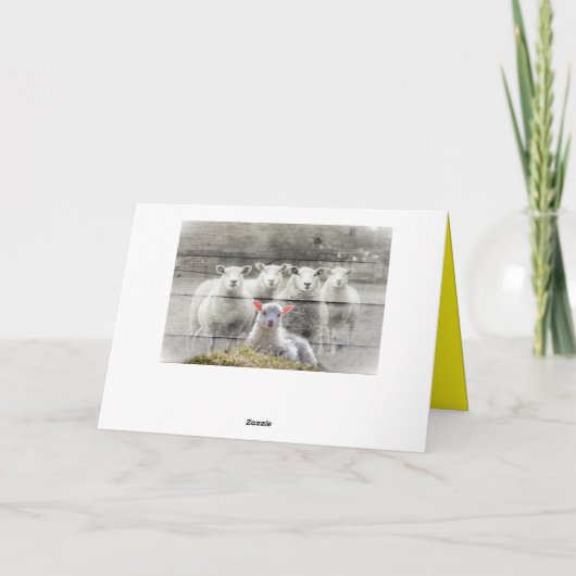 Faltkarte Karte (Rückseite)