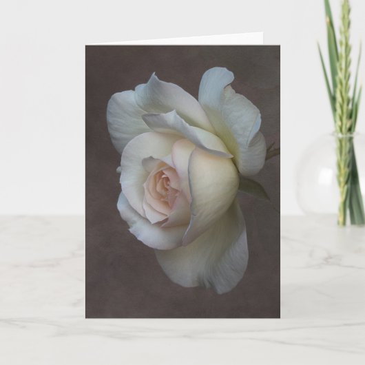 Faltkarte Karte (Vorderseite)