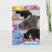 Faltkarte Karte (Vorderseite)