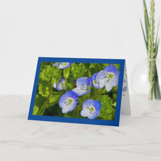 Faltkarte Karte (Vorderseite)