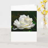 Faltkarte Karte (Gelbe Blume)